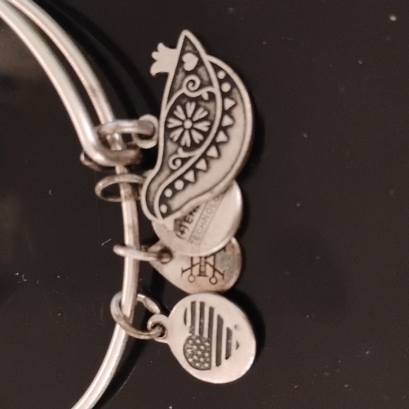 Alex and Ani Sacred Turtle Dove Charm Bracelet NEW IN BOX - Picture 4 of 4